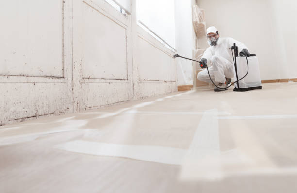 24/7 Emergency Basement Mold Remediation experts in Warrington, PA