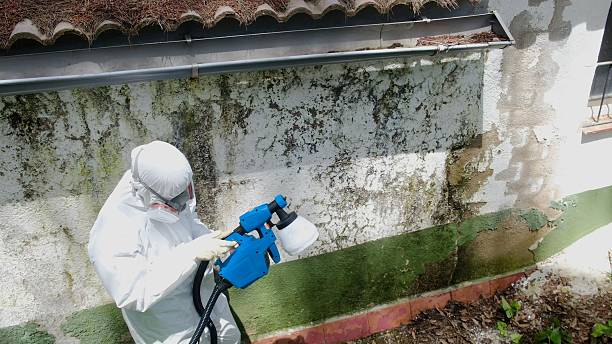 Trusted Commercial Mold Remediation service in Warrington, PA - Cheap Mold Removal